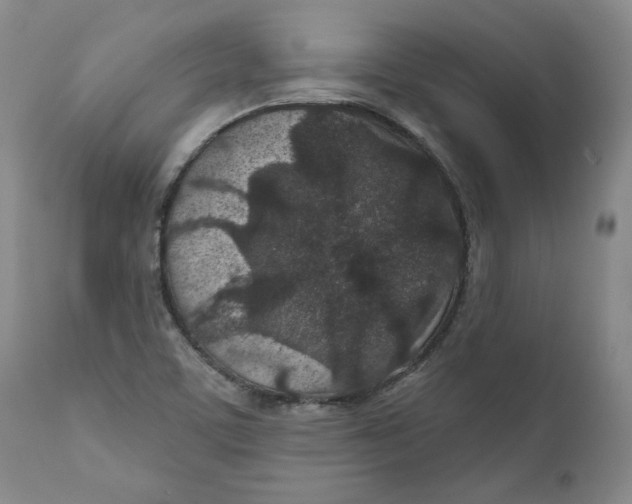 X0000110921459200907091445
