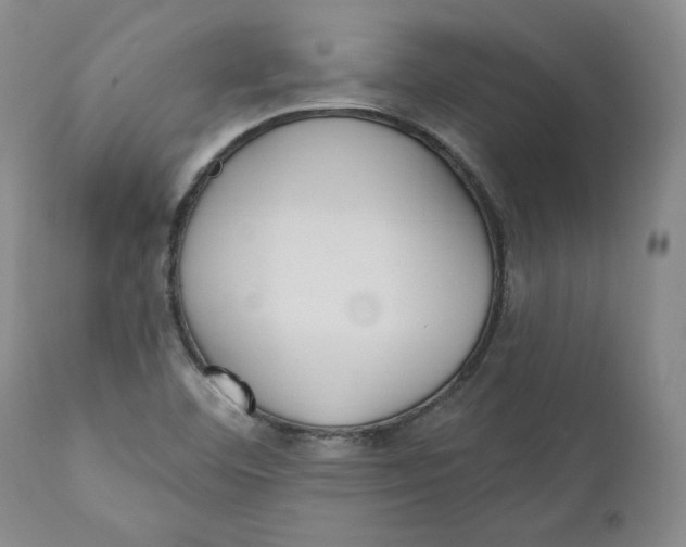 X0000110921460200907091445