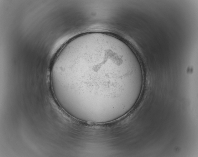 X0000110921461200907091445