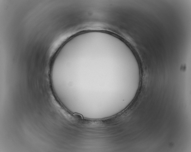 X0000110921464200907091445