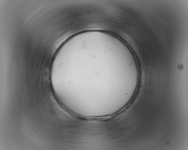 X0000110921465200907091445