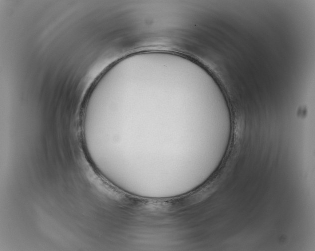 X0000110921466200907091445