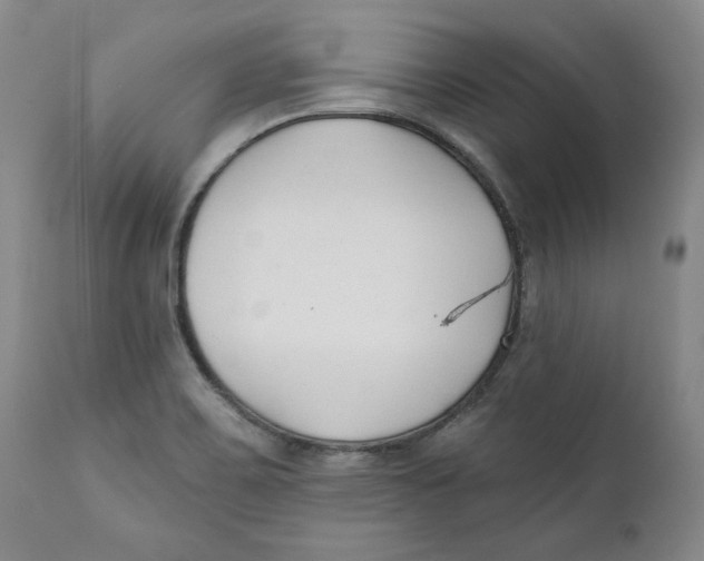 X0000110921467200907091445
