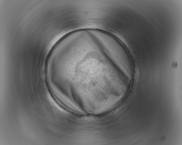 X0000110921468200907091445