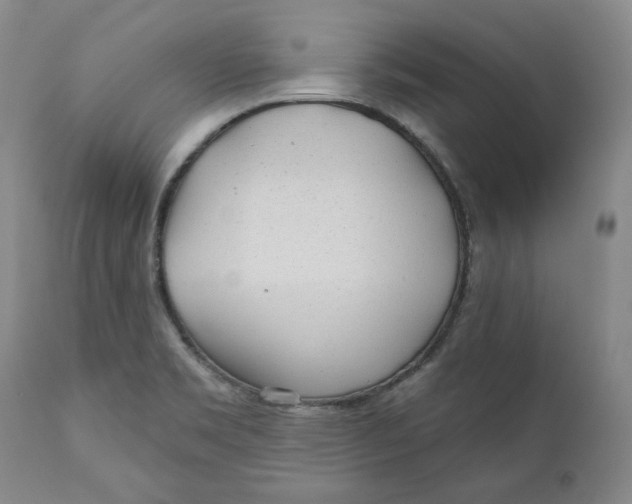 X0000110921469200907091445