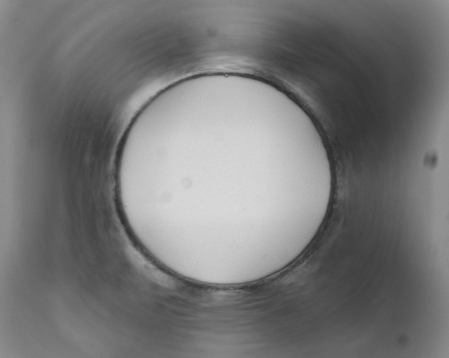 X0000110921471200907091445