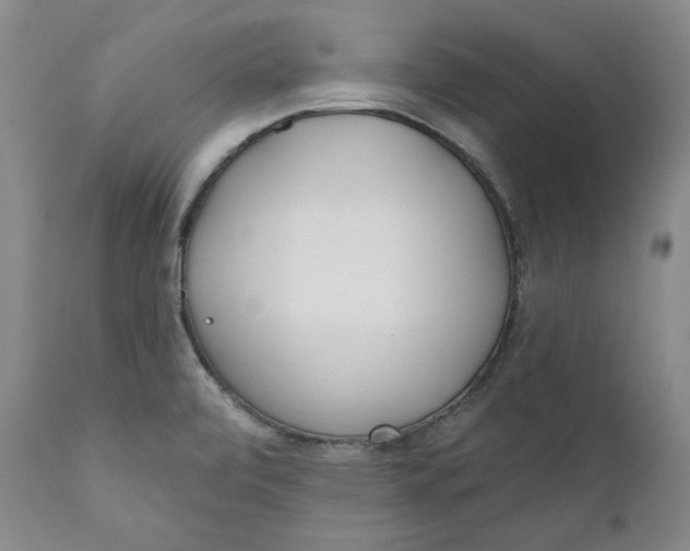 X0000110921472200907091445