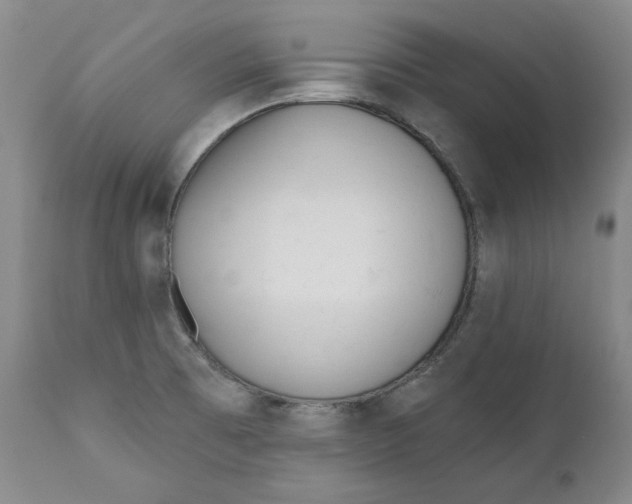 X0000110921473200907091445