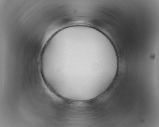 X0000110921474200907091445