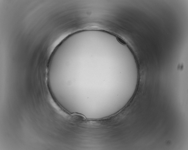 X0000110921476200907091445