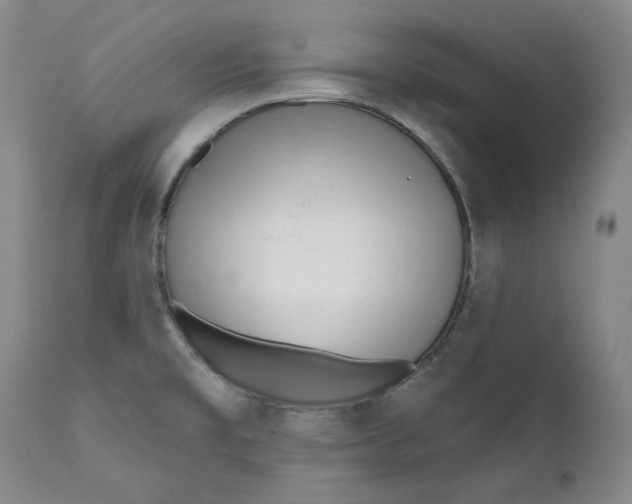 X0000110921477200907091445