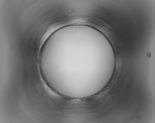 X0000110921478200907091445