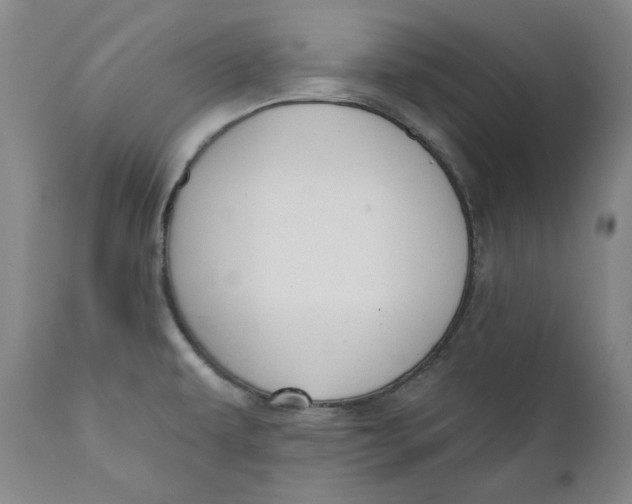 X0000110921479200907091445