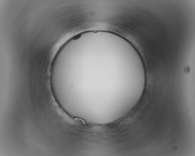 X0000110921480200907091445