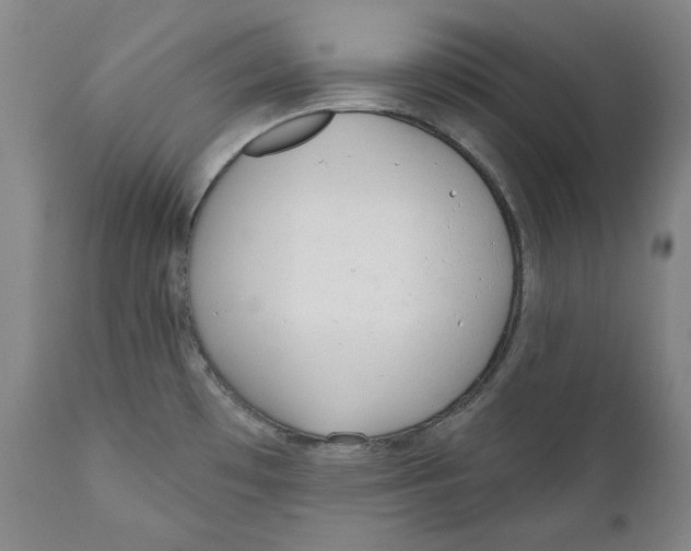 X0000110921481200907091445