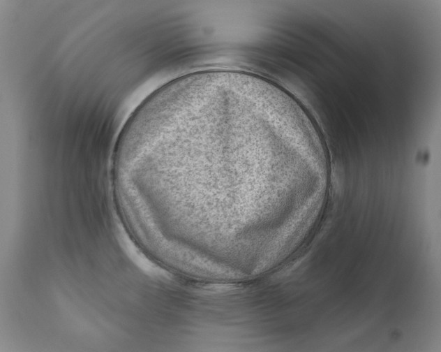 X0000110921482200907091445