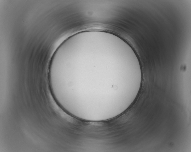 X0000110921483200907091445