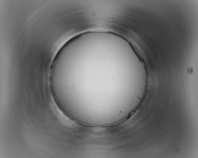 X0000110921484200907091445