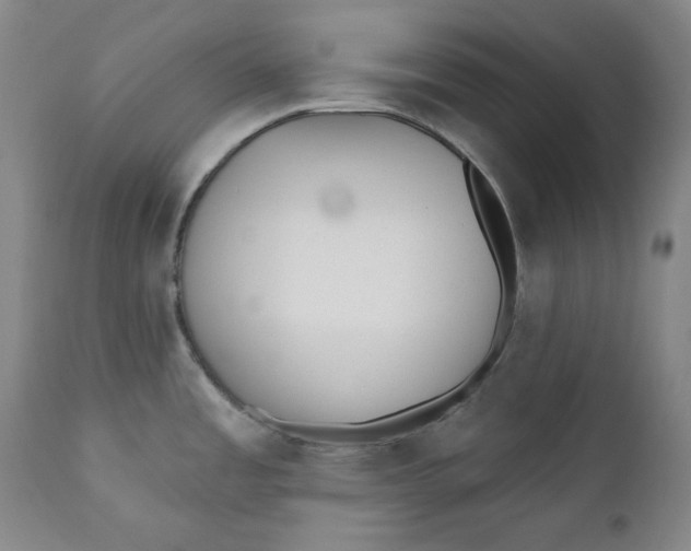 X0000110921485200907091445