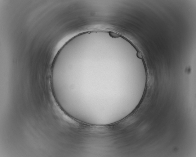 X0000110921486200907091445