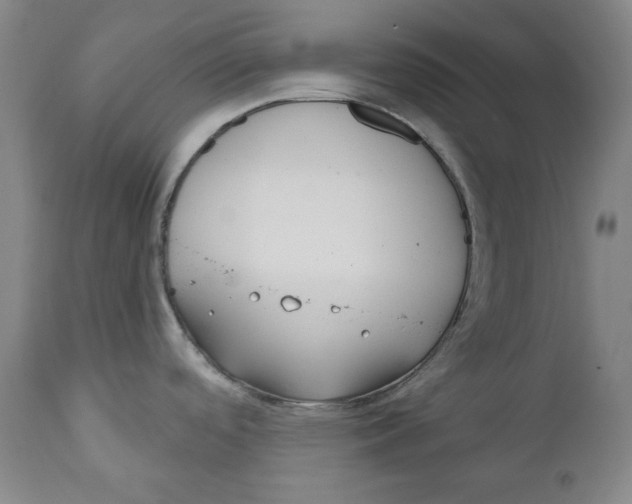 X0000110921488200907091445