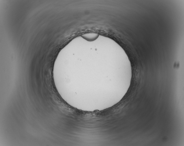 X0000110921489200907091444