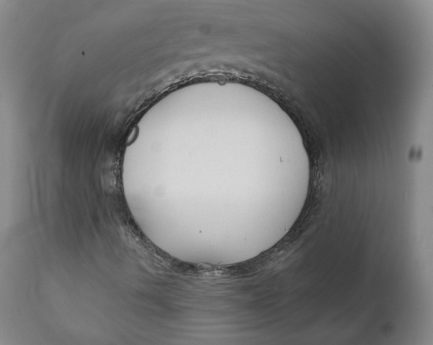 X0000110921490200907091444