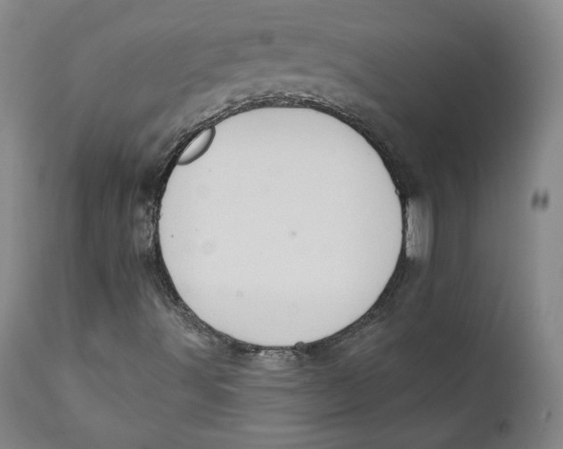 X0000110921491200907091444
