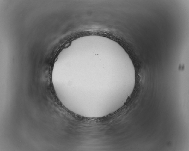 X0000110921493200907091444