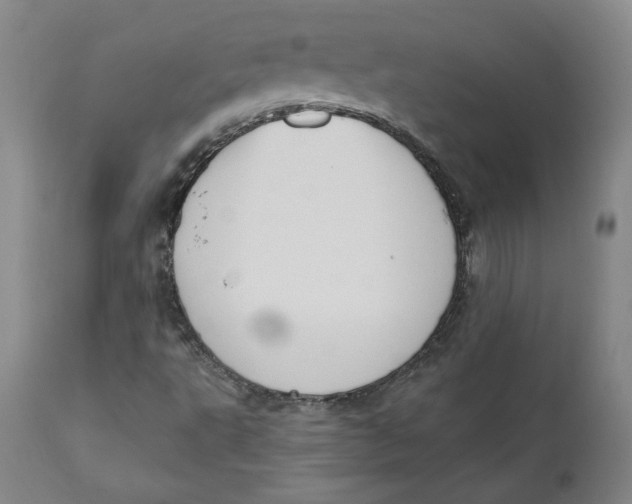 X0000110921495200907091444
