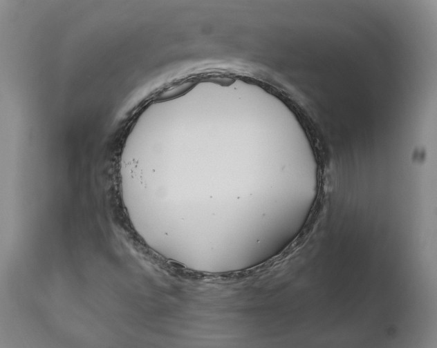X0000110921496200907091444