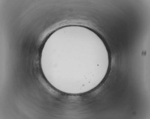 X0000110921498200907091444