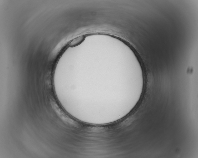 X0000110921499200907091444