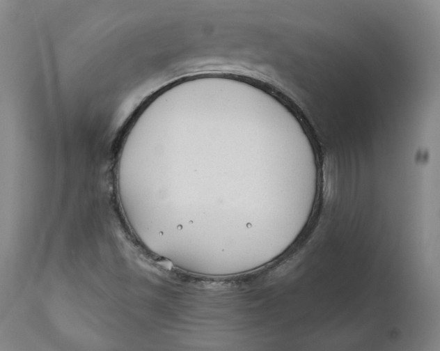 X0000110921501200907091444