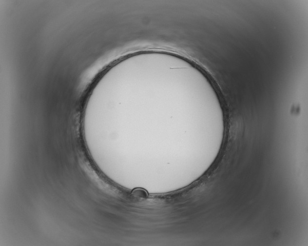 X0000110921503200907091444