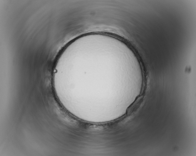 X0000110921505200907091444