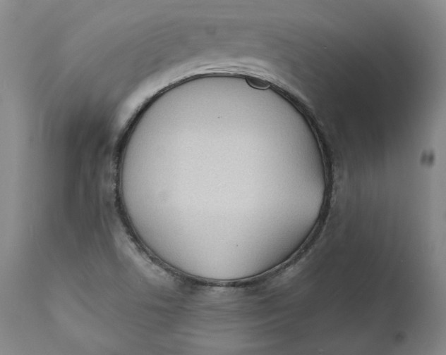 X0000110921506200907091444