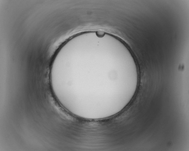 X0000110921507200907091444