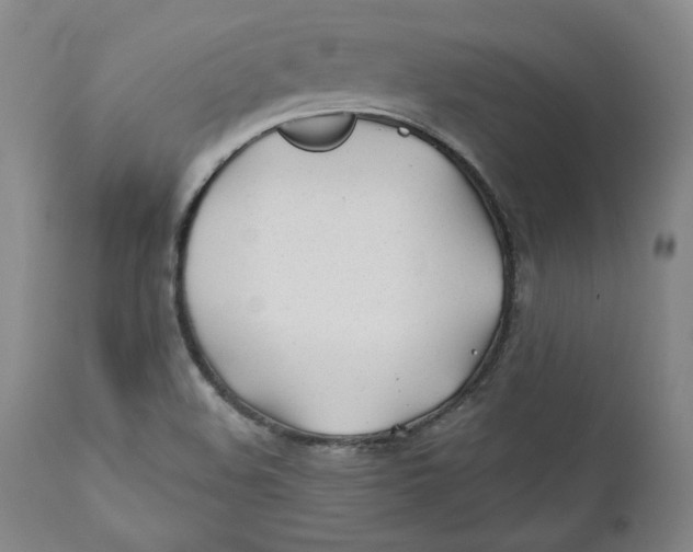 X0000110921508200907091444