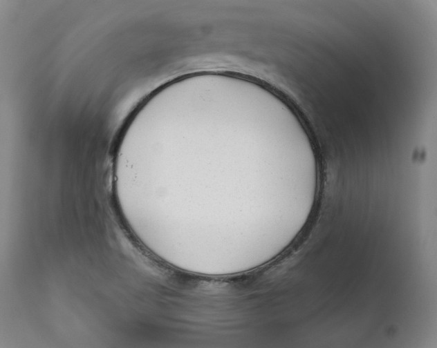 X0000110921509200907091444
