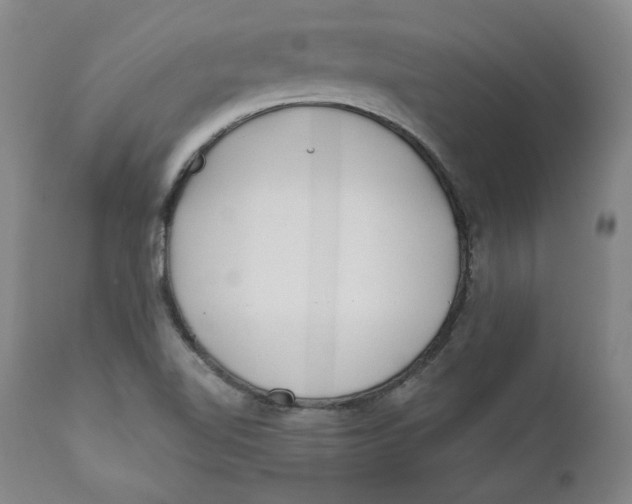 X0000110921510200907091444