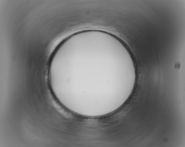 X0000110921511200907091444
