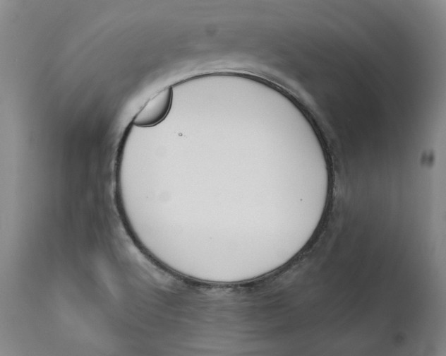X0000110921512200907091444