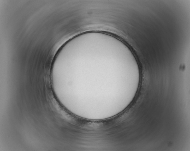 X0000110921513200907091444