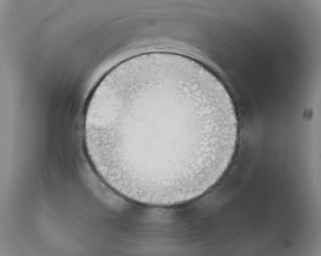 X0000110921514200907091444
