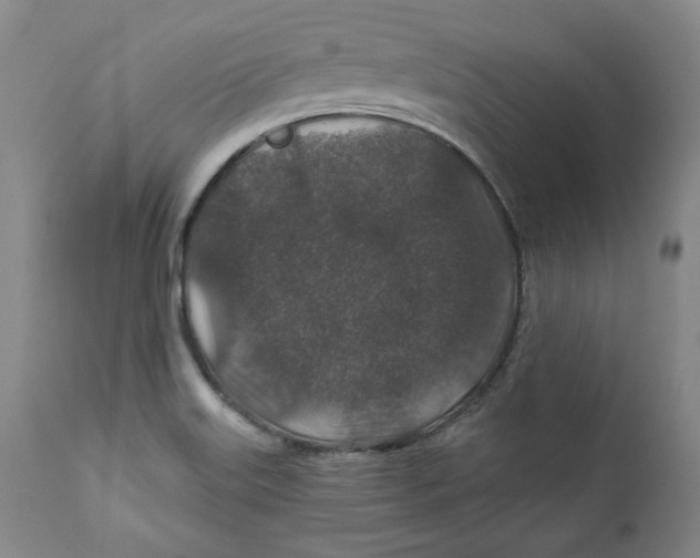X0000110921515200907091444