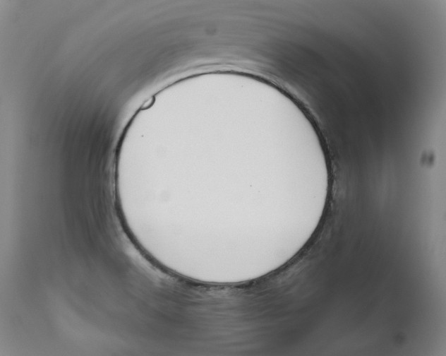 X0000110921516200907091444