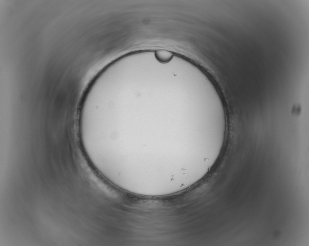 X0000110921517200907091444