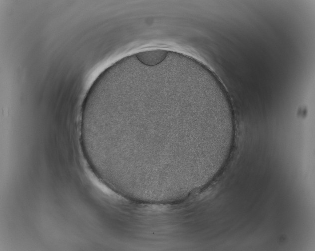 X0000110921519200907091444