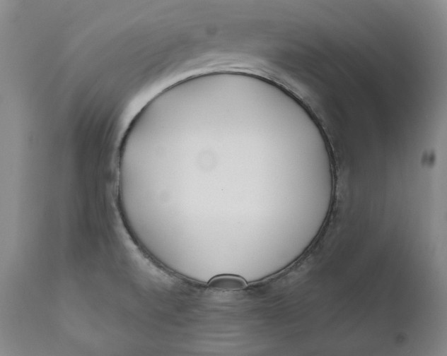 X0000110921520200907091444